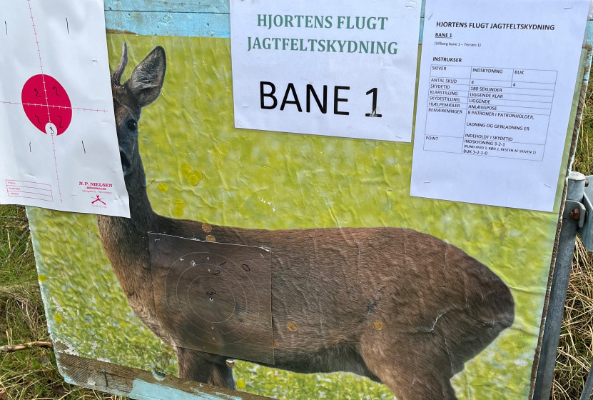 hjortens flugt